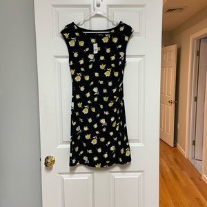 NWT Ann Taylor Factory dress